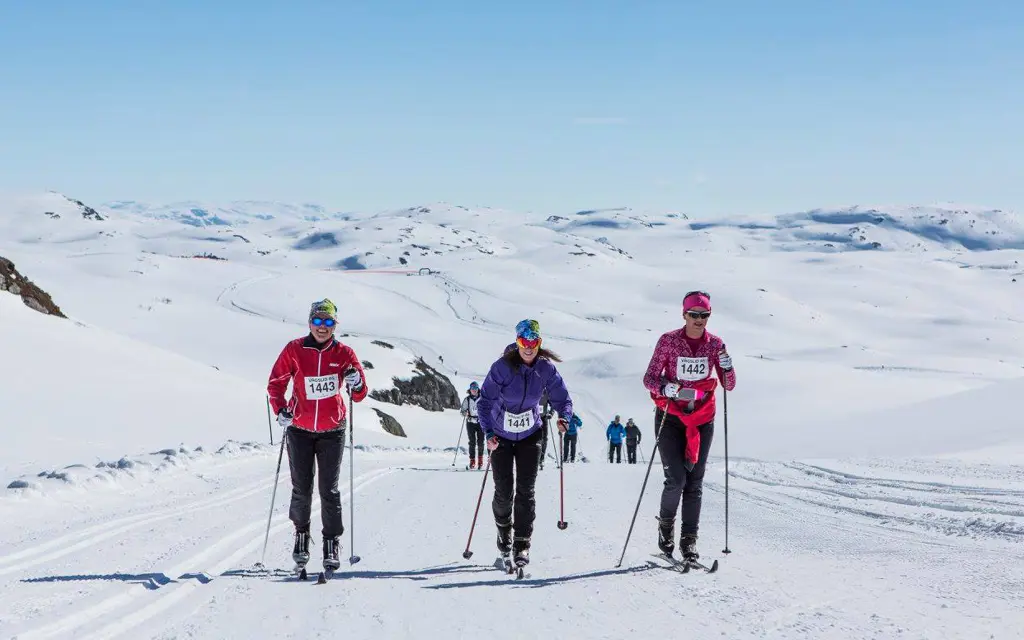 Cross-country skiers in Haukelirennet