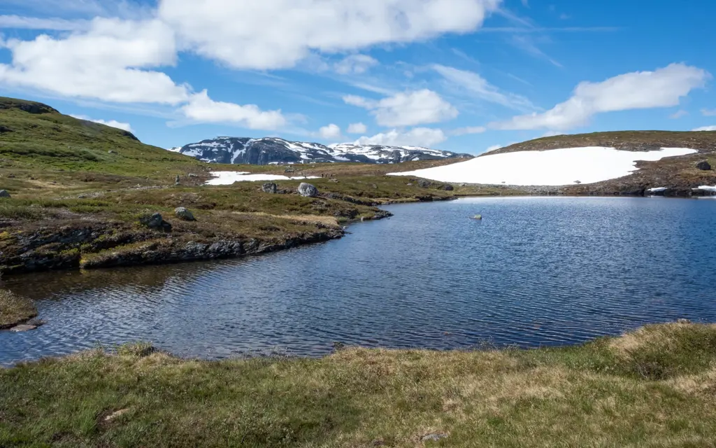 Grønt landskap og et fjellvann med snø og fjelltopper i bakgrunnen, med en blå himmel over