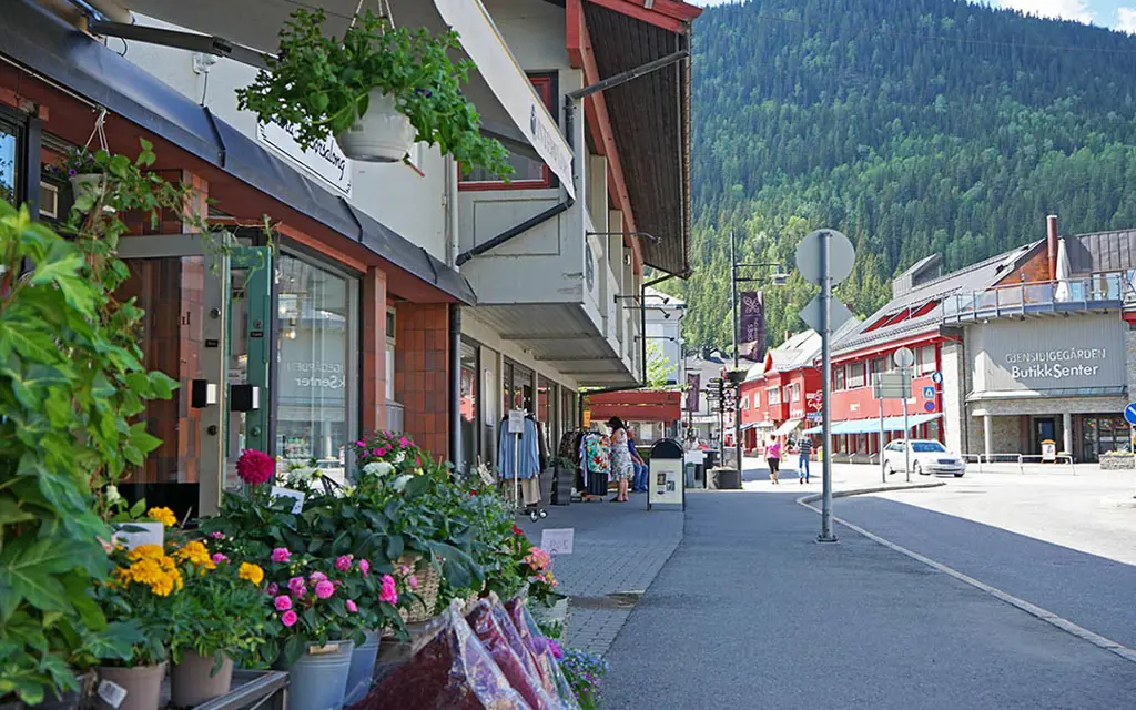 The shopping street in Fagernes