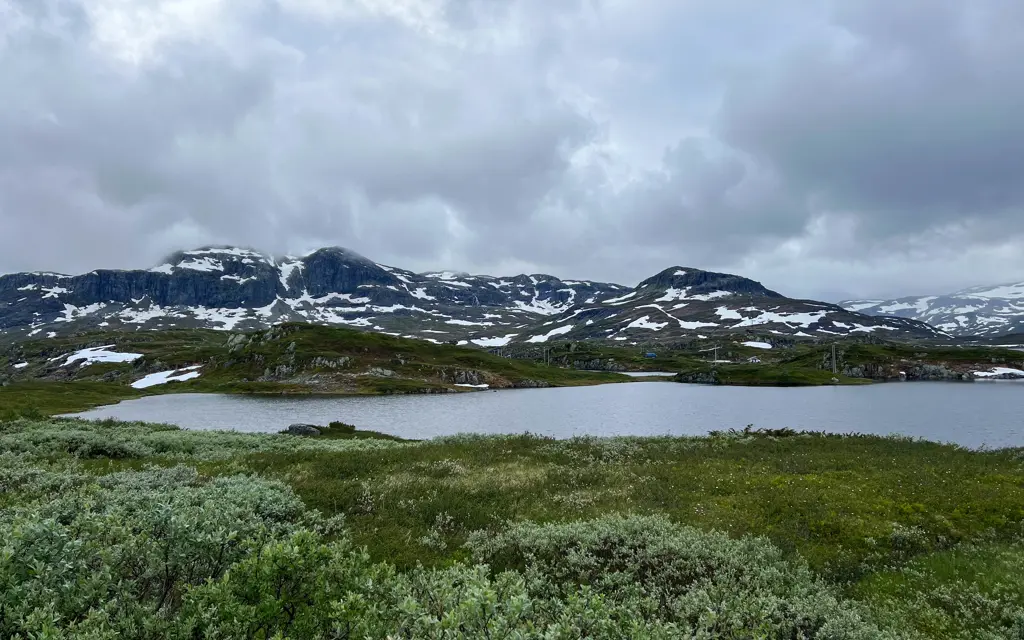 grønn og frodig natur langs vannet ved haukeliseter med fjell med snøtopper på i bakgrunnen