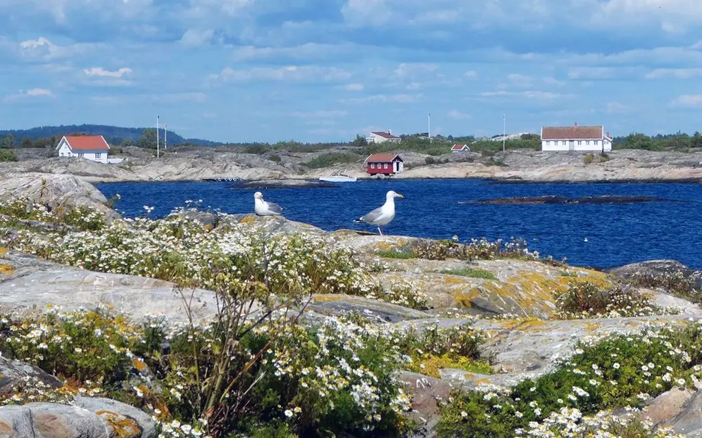 Skjærgårdslandskap med blått hav og svaberg med hvite hus