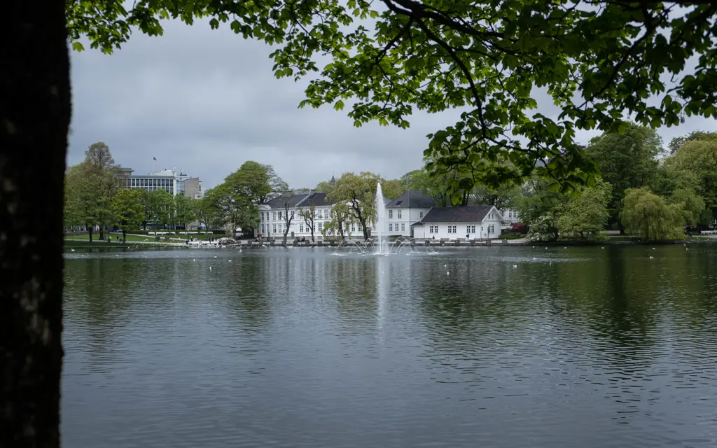 Et vann i sentrum av Stavanger by med noe bebyggelse i bakgrunnen