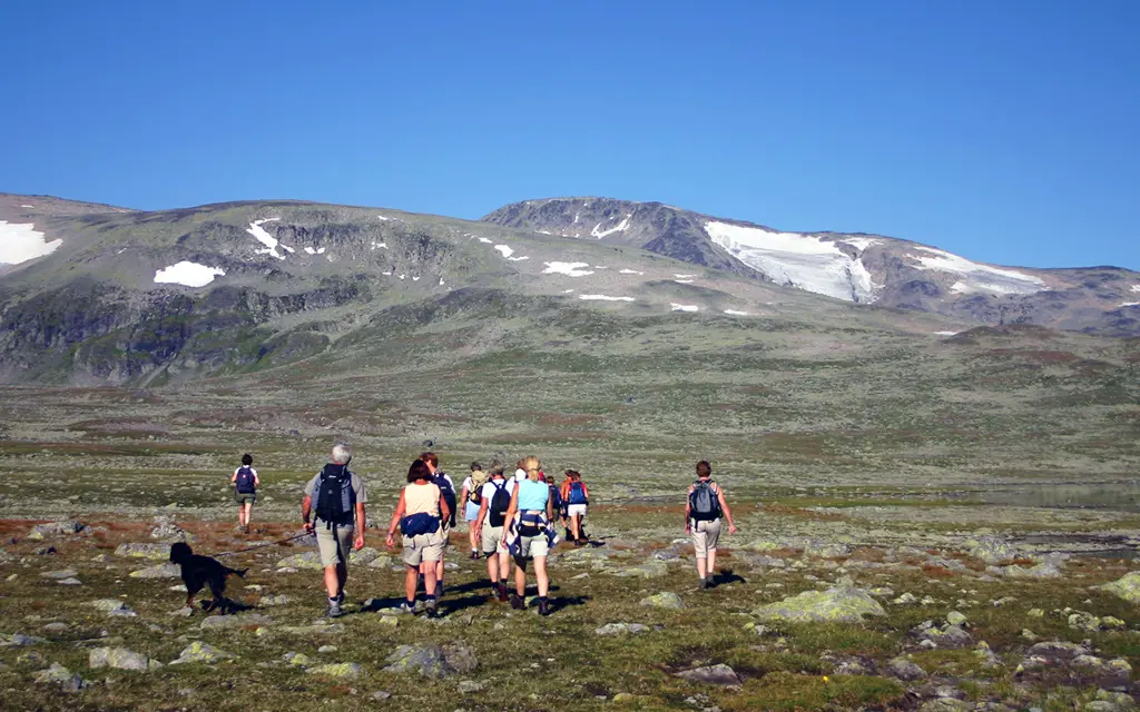 Hikers in the mountain at Beitostølen