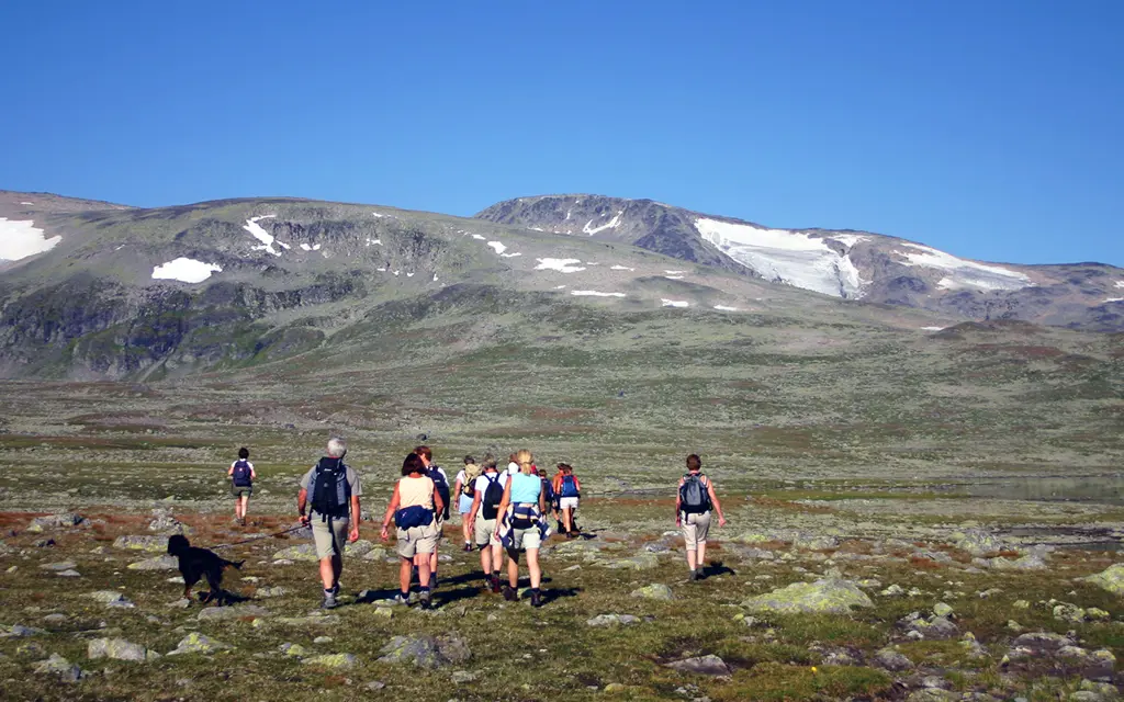 Turgåere vandrer i fjellheimen