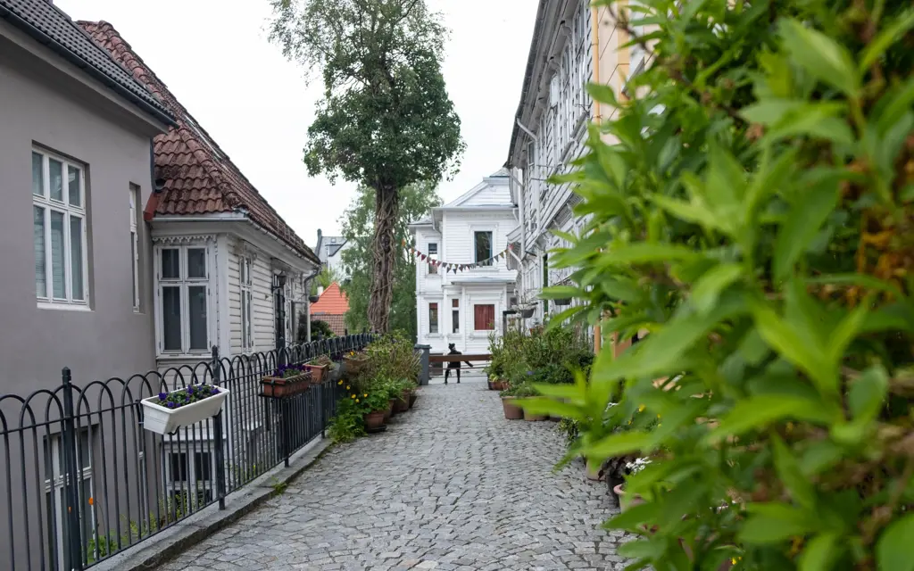 a cobblestone street surrounded by white wooden houses in Bergen