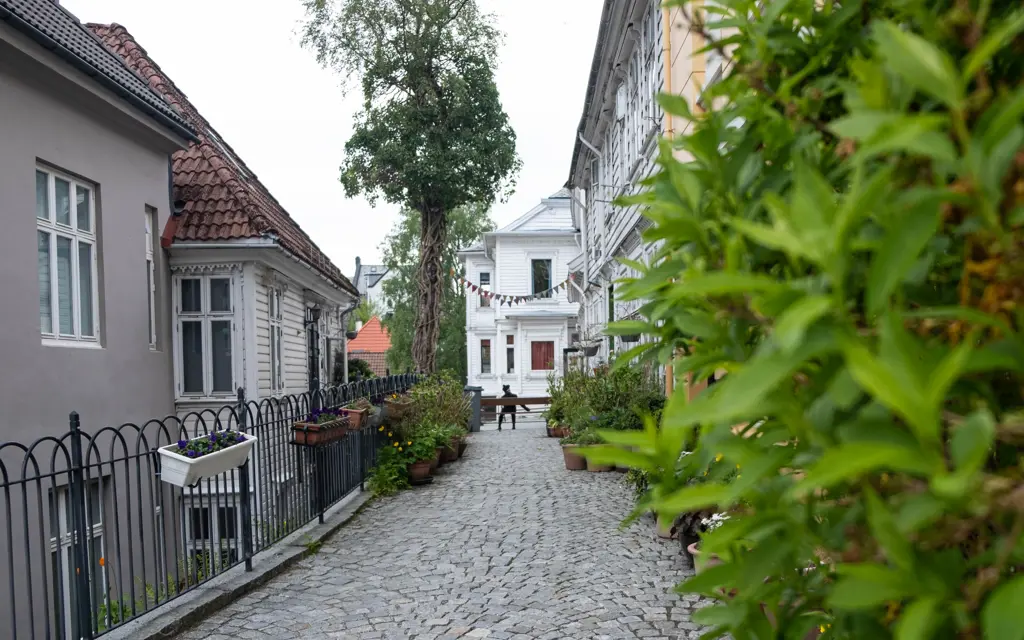 Brosteinsgate med hvite trehus i Bergen